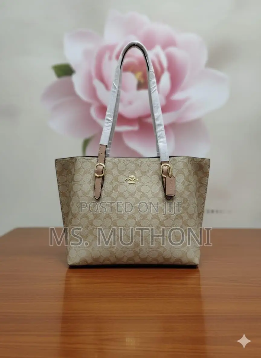 Coach Mollie Tote Dupe Bags