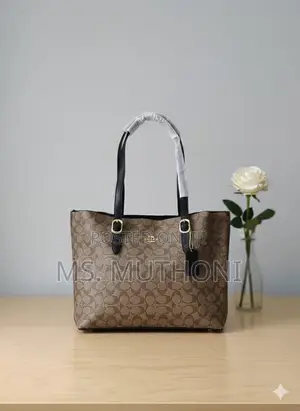 Coach Mollie Tote Dupe Bags