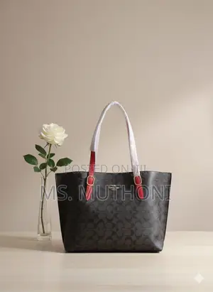 Coach Mollie Tote Dupe Bags