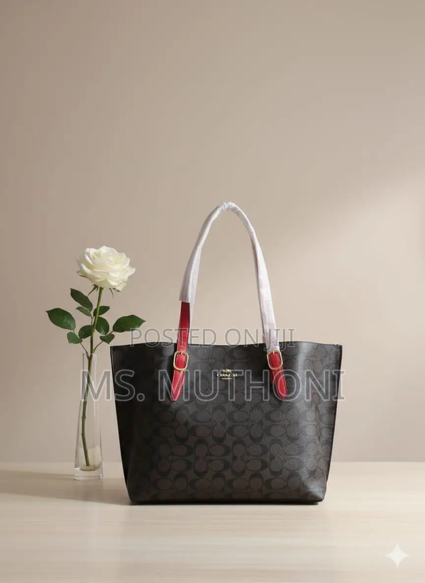 Coach Mollie Tote Dupe Bags