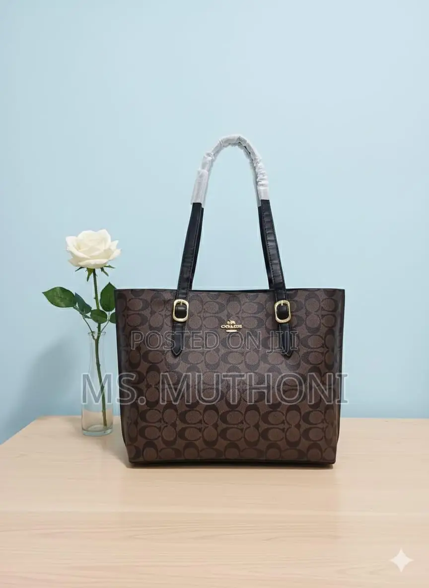 Coach Mollie Tote Dupe Bags