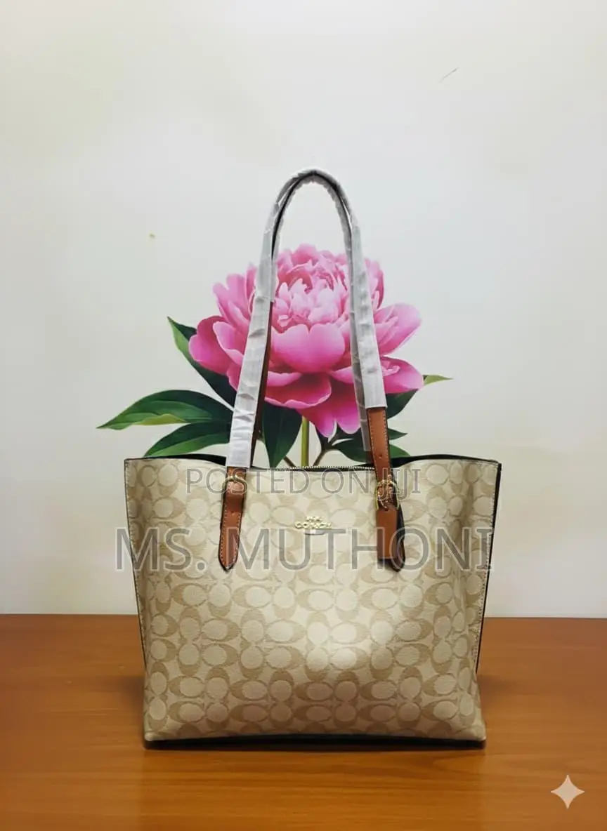 Coach Mollie Tote Dupe Bags