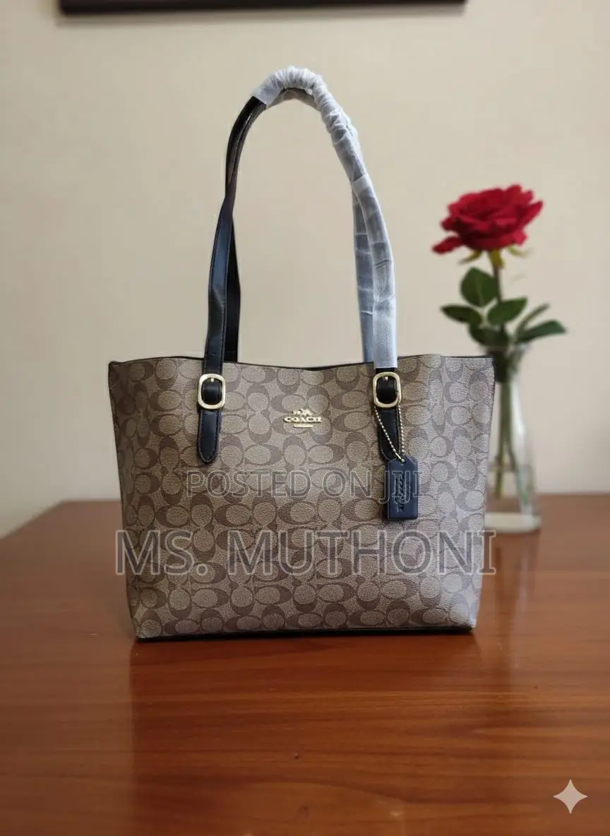 Coach Mollie Tote Dupe Bags