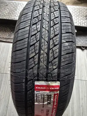 215 /60 R17 Chaoyang Tyres (Highway).