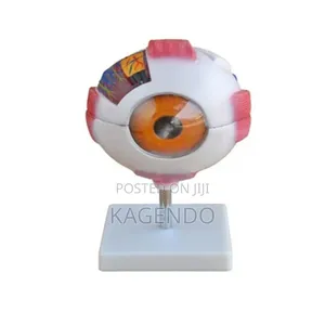 Gait Eye Training Model