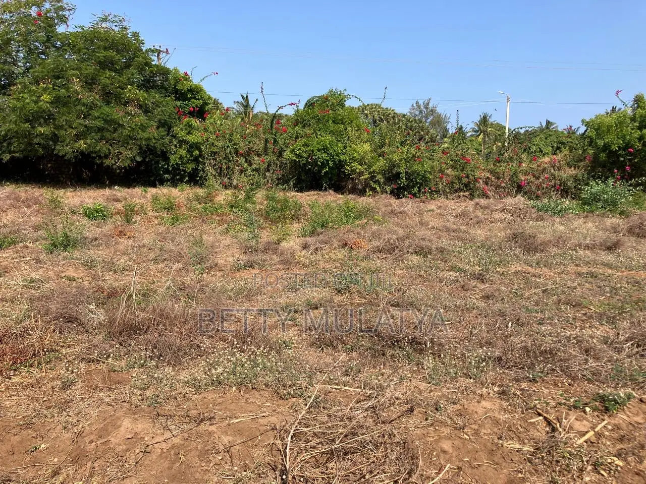1/8th of an Acre Plots in Malindi Town Centre