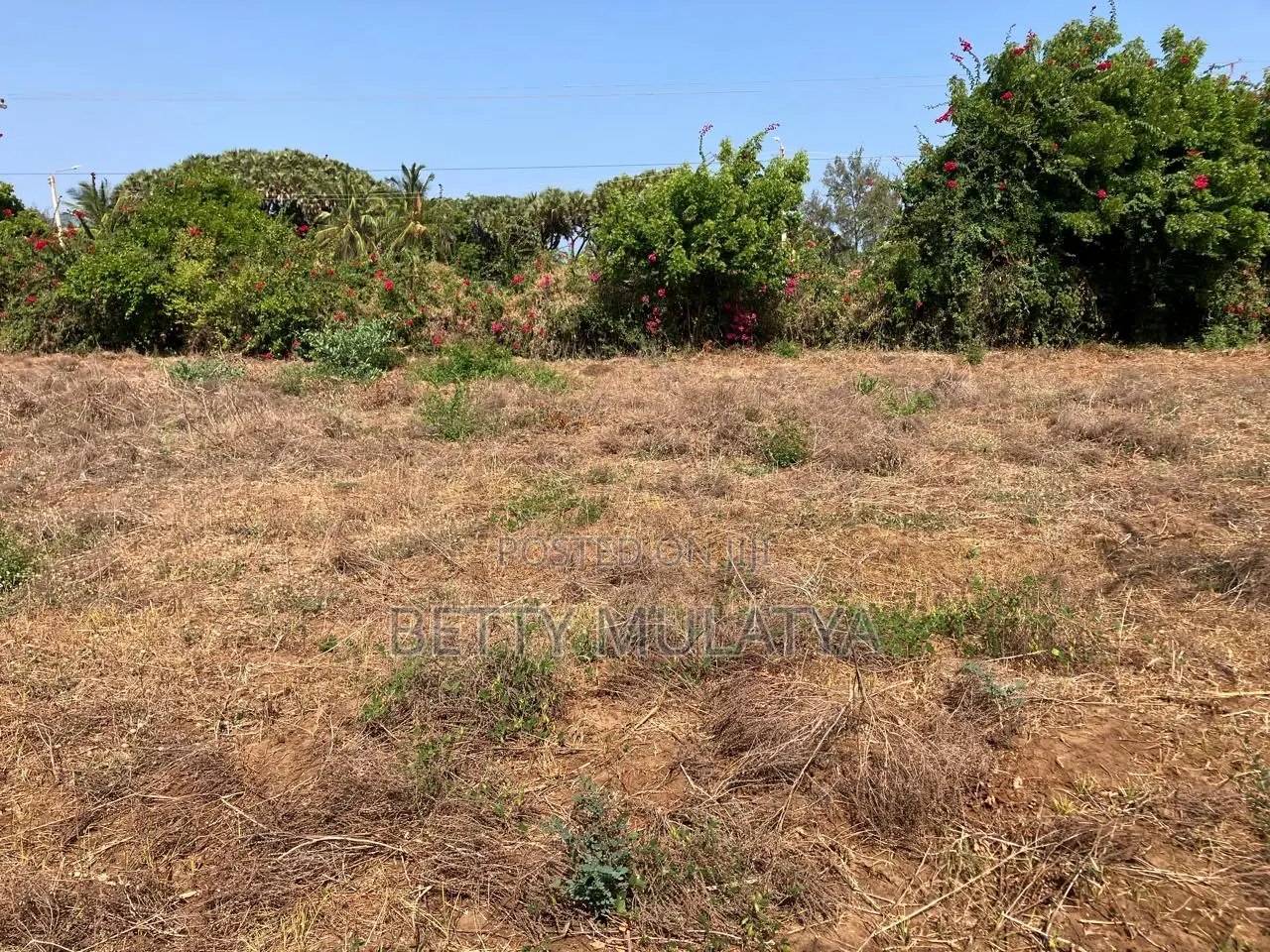 1/8th of an Acre Plots in Malindi Town Centre