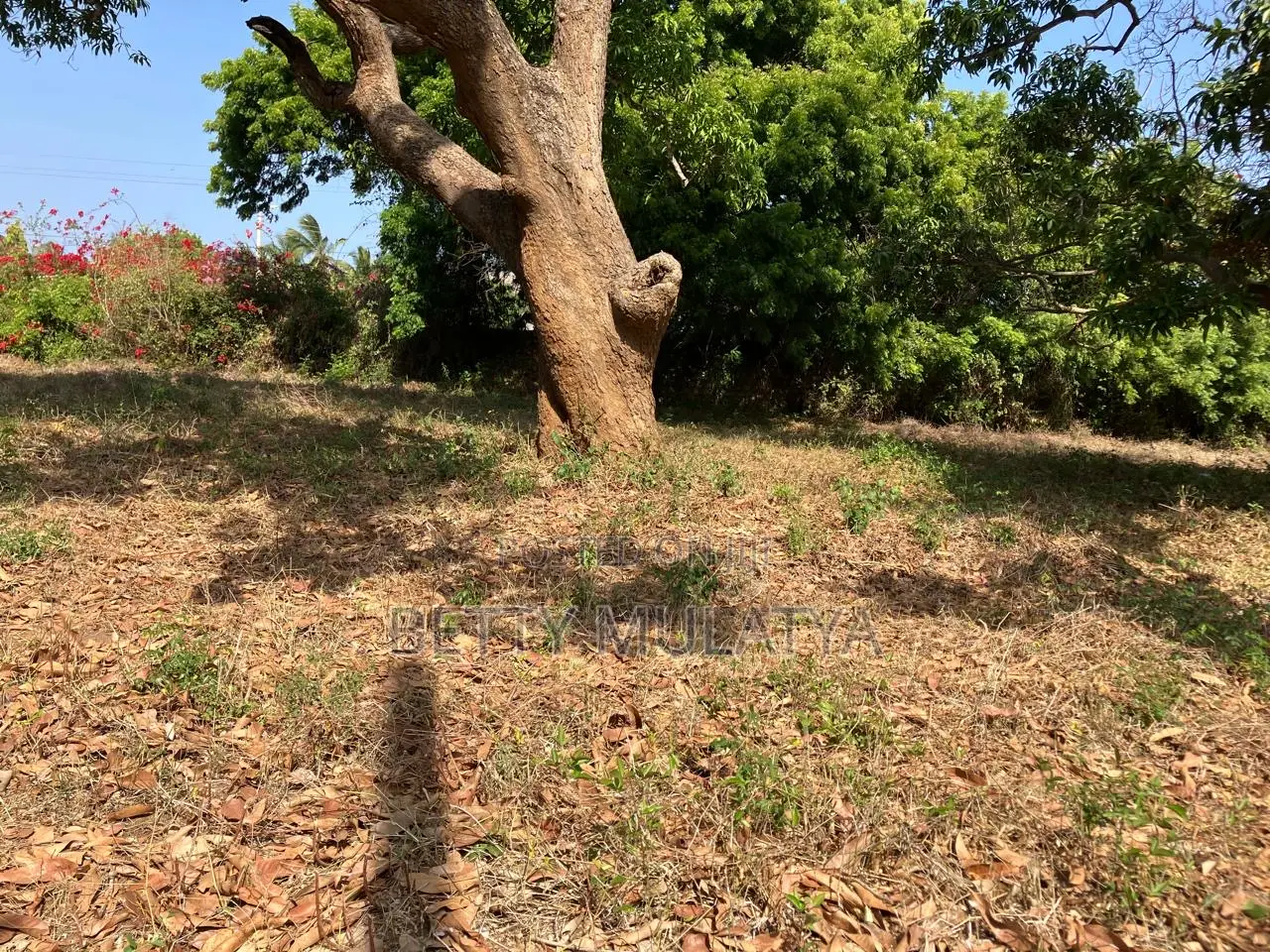 1/8th of an Acre Plots in Malindi Town Centre
