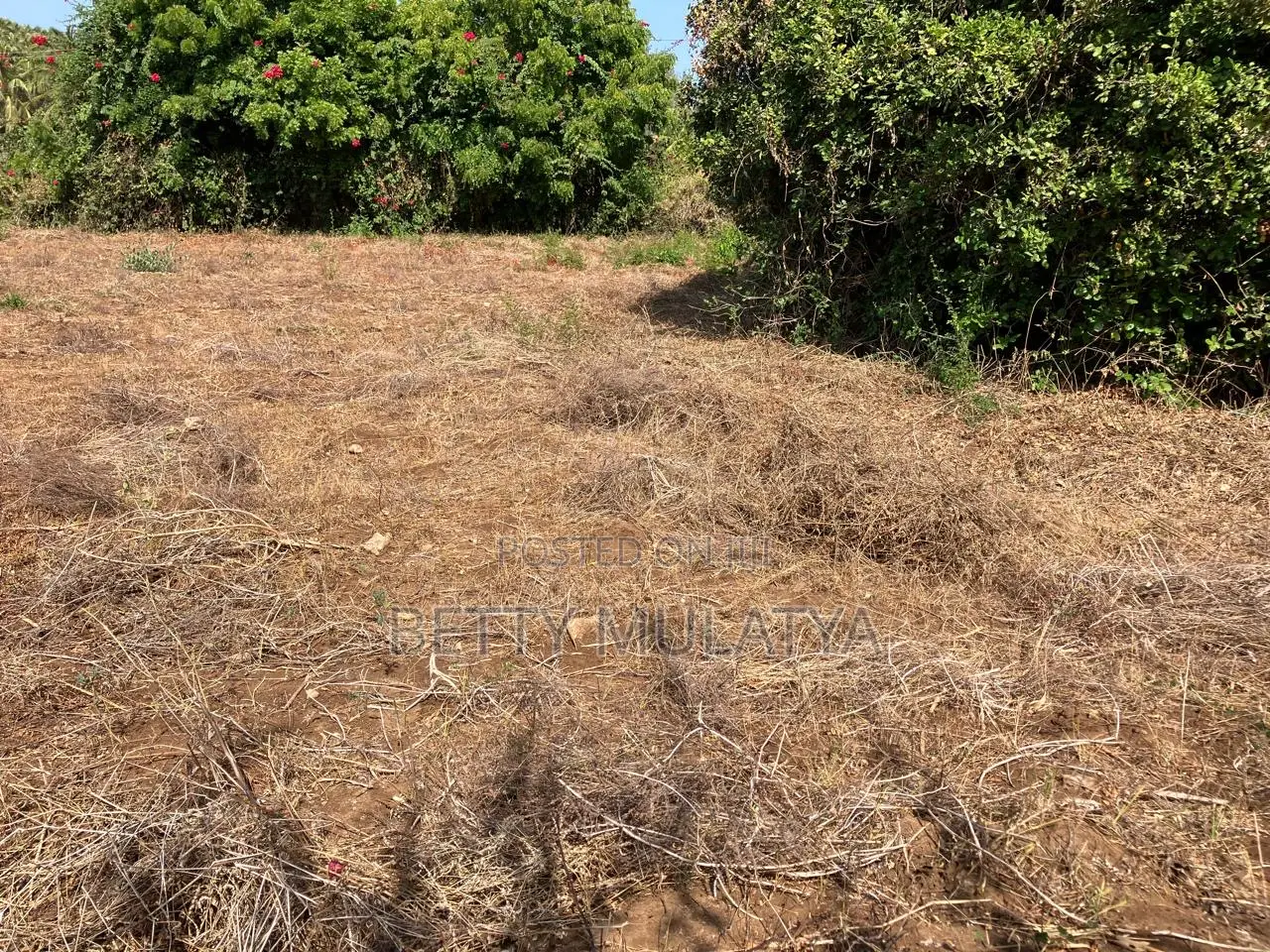 1/8th of an Acre Plots in Malindi Town Centre