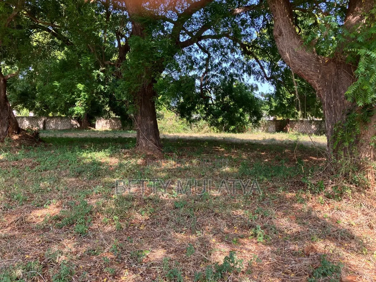 1/8th of an Acre Plots in Malindi Town Centre