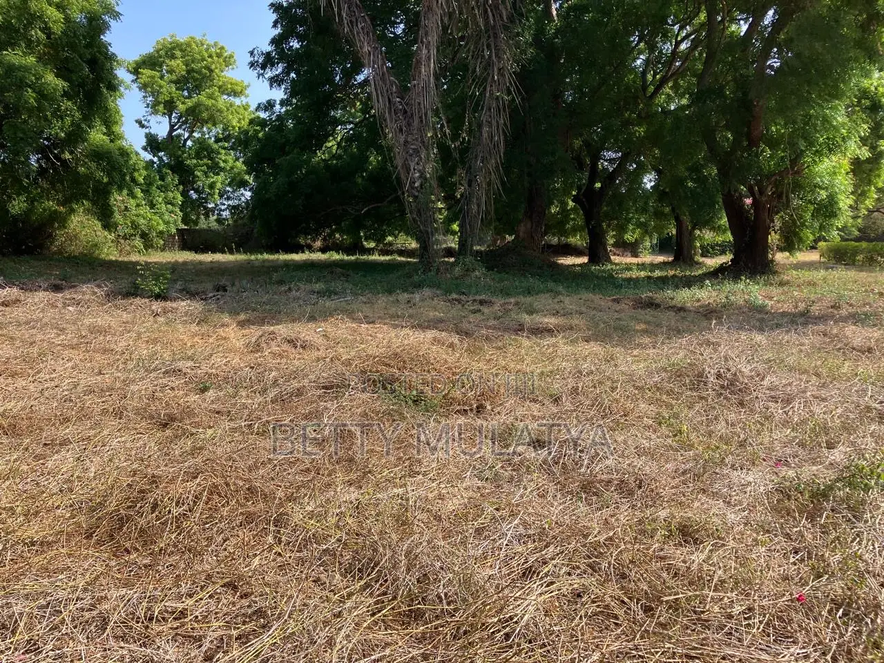 1/8th of an Acre Plots in Malindi Town Centre