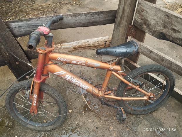 Mountain Bike - main view