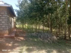 1/4 Acre Plot for Sale in Matasia