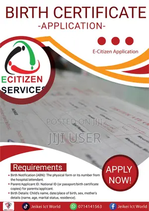 Bírth Certificate Application and Collection in 1 Day