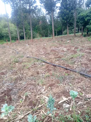 5 Acres Marua Nyeri
