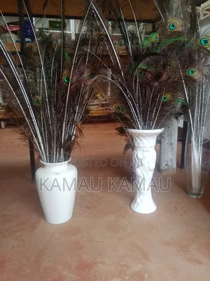 Vase With Real Peacock Feathers