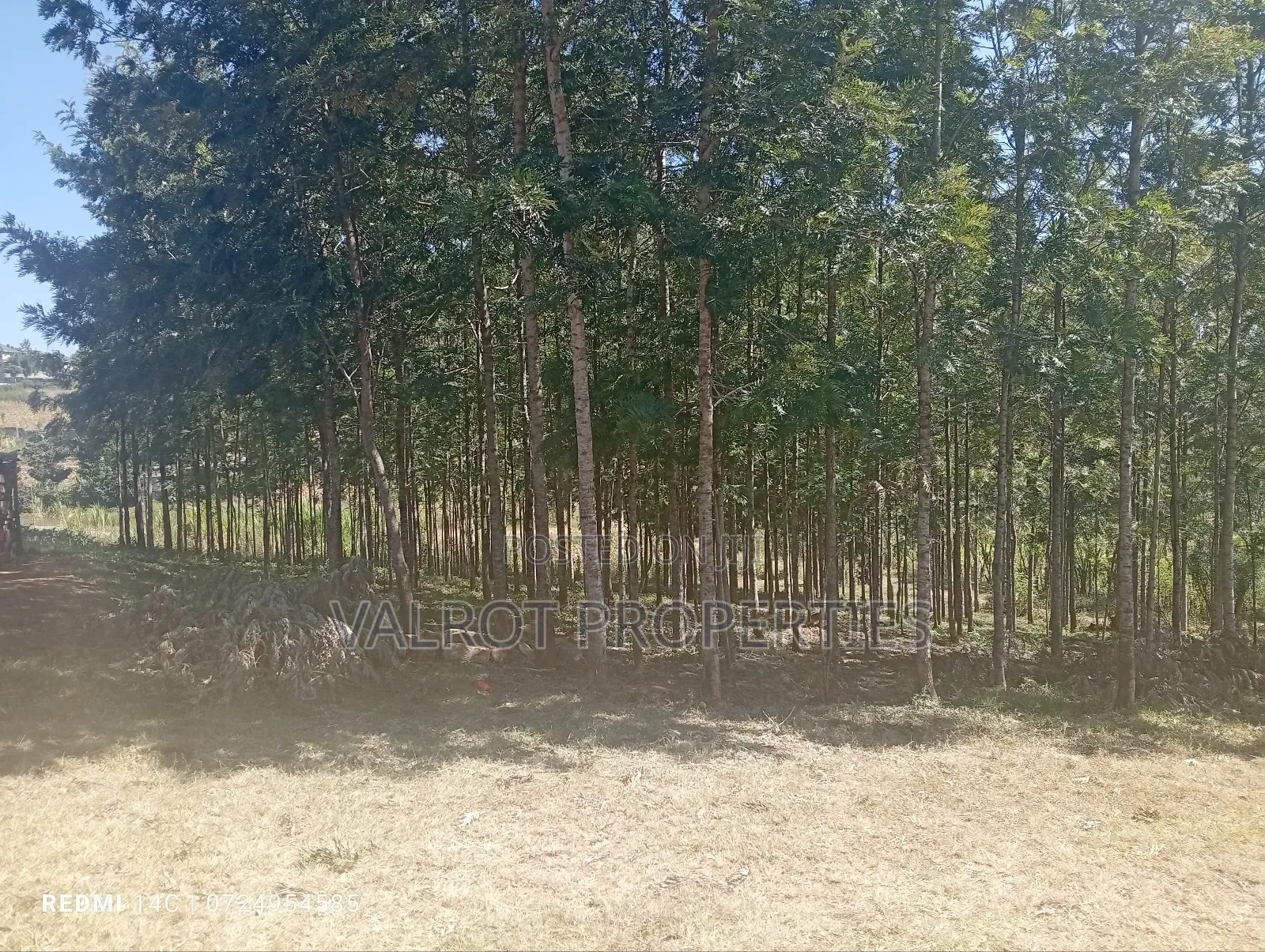 1/4 Acre Plot for Sale in Matasia