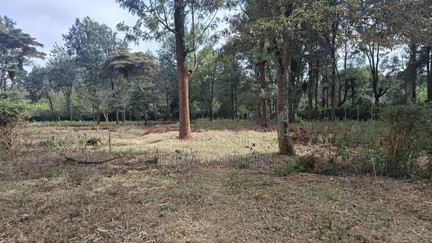 5 Acre Parcel in Karen - thumbnail 2