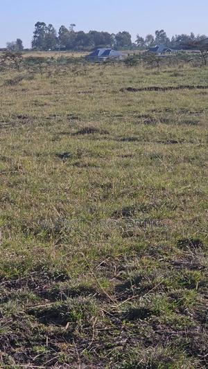 1/8 Acre Plot for Sale in Kiserian - thumbnail 2