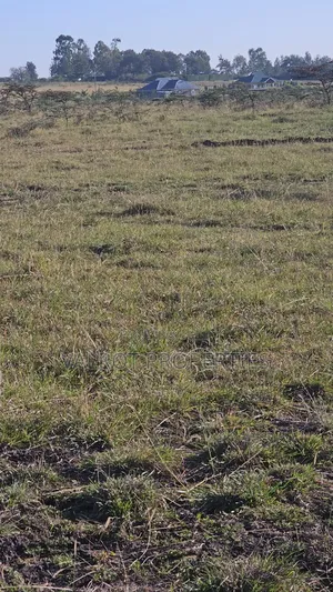 1/8 Acre Plot for Sale in Kiserian