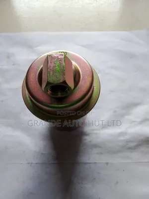 Fuel Filter for Hyundai Atoz (Qpc Brand)