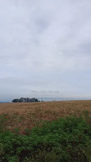 Prime Land on Sale 0.6072 Ha Neighbors Gretsa University, Makuyu