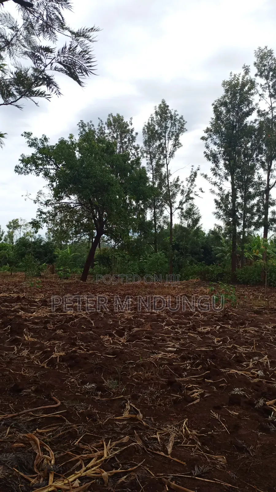 Prime Land on Sale 0.6072 Ha Neighbors Gretsa University, Makuyu