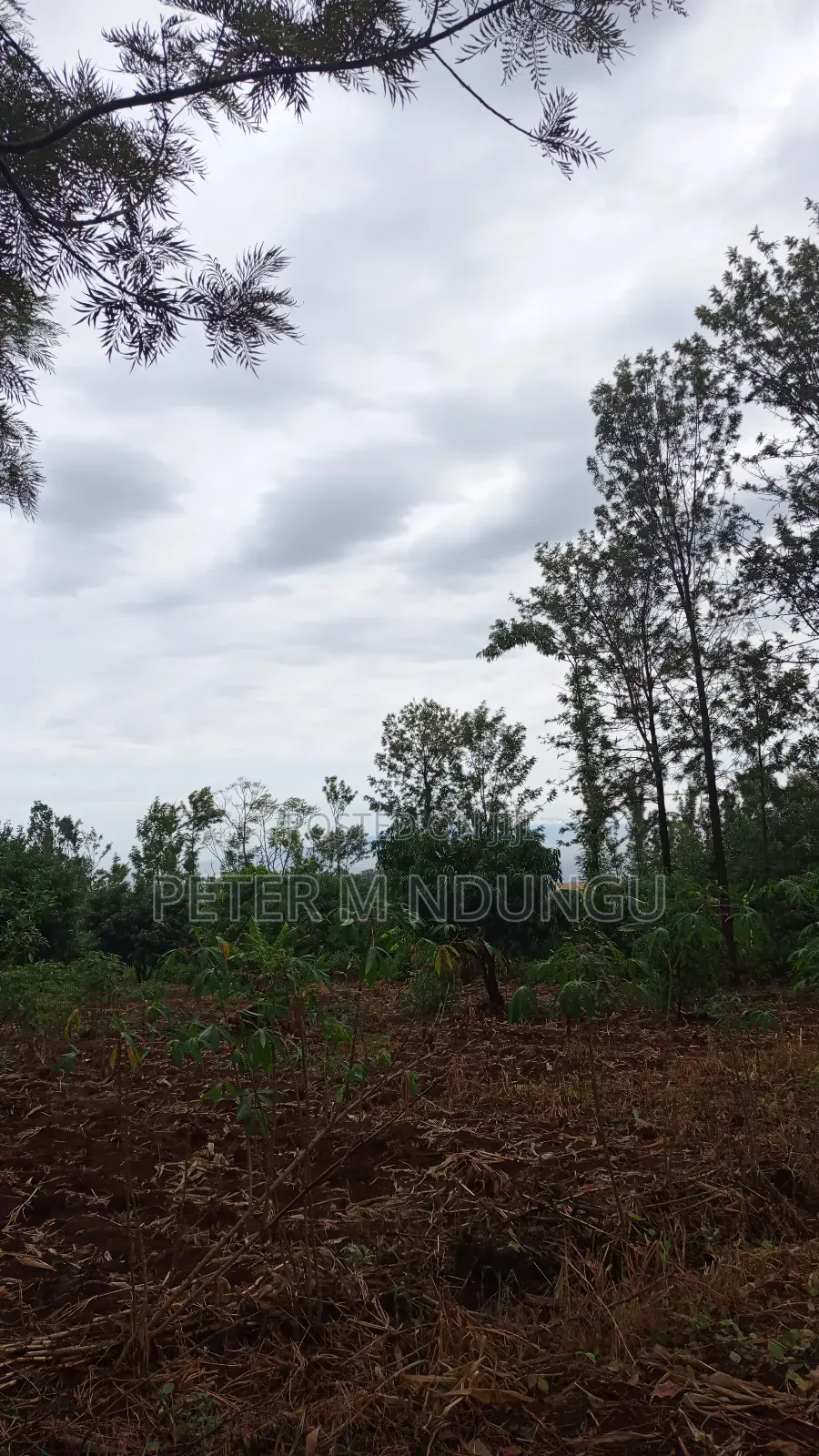 Prime Land on Sale 0.6072 Ha Neighbors Gretsa University, Makuyu