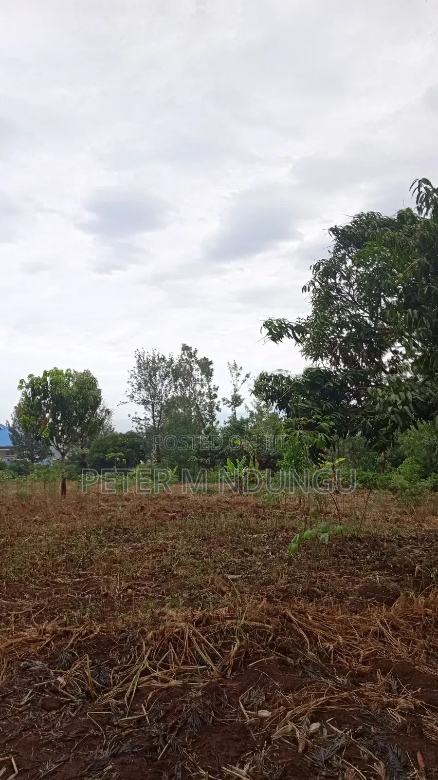 Prime Land on Sale 0.6072 Ha Neighbors Gretsa University, Makuyu