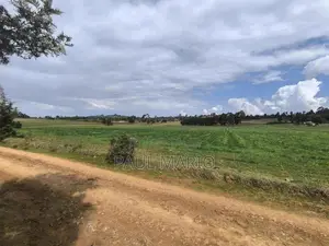 11 Acres of Land Kisima Timau, Distress Sale!