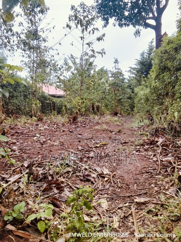 Land for Sale - thumbnail 2