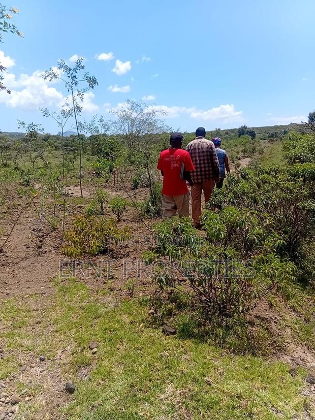 Prime 1⁄2 Acre Plots – Longonot Gate, Naivasha - thumbnail 7