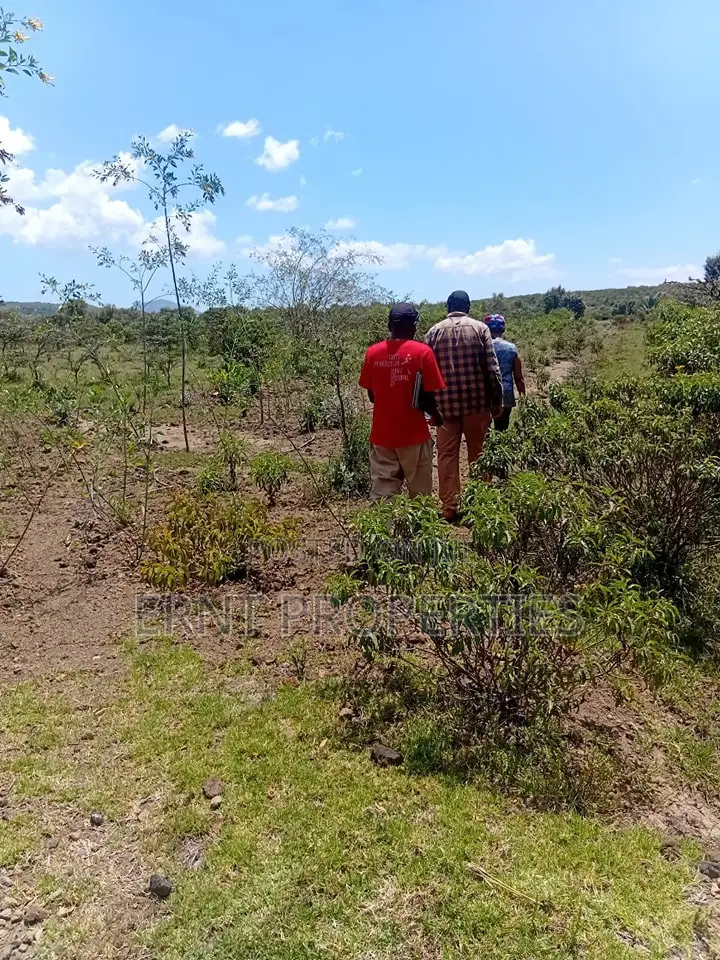 Prime 1⁄2 Acre Plots – Longonot Gate, Naivasha