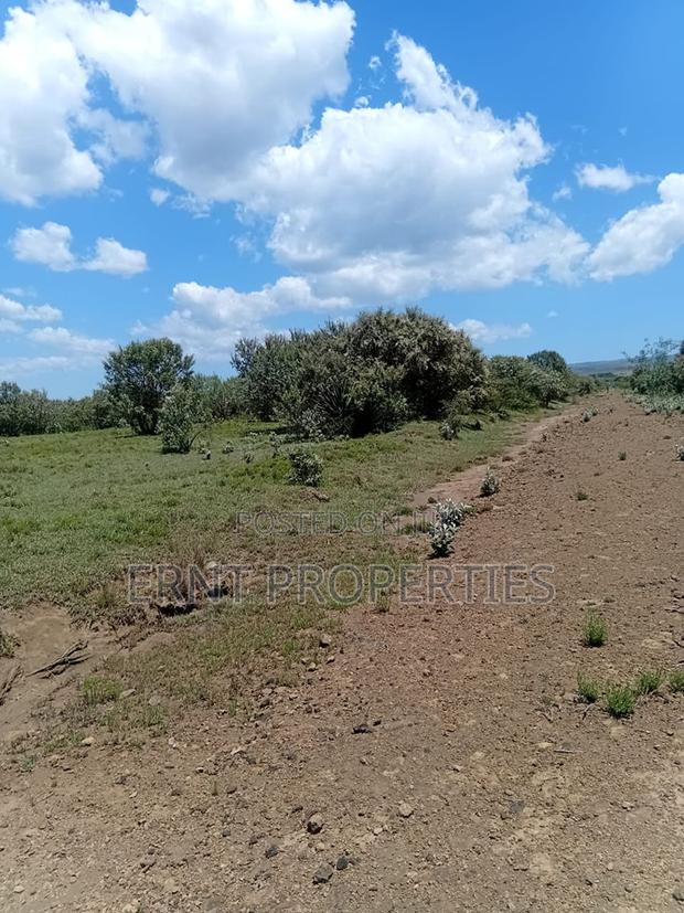 Prime 1⁄2 Acre Plots – Longonot Gate, Naivasha - thumbnail 8