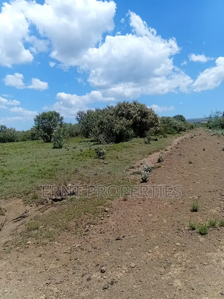 Prime 1⁄2 Acre Plots – Longonot Gate, Naivasha