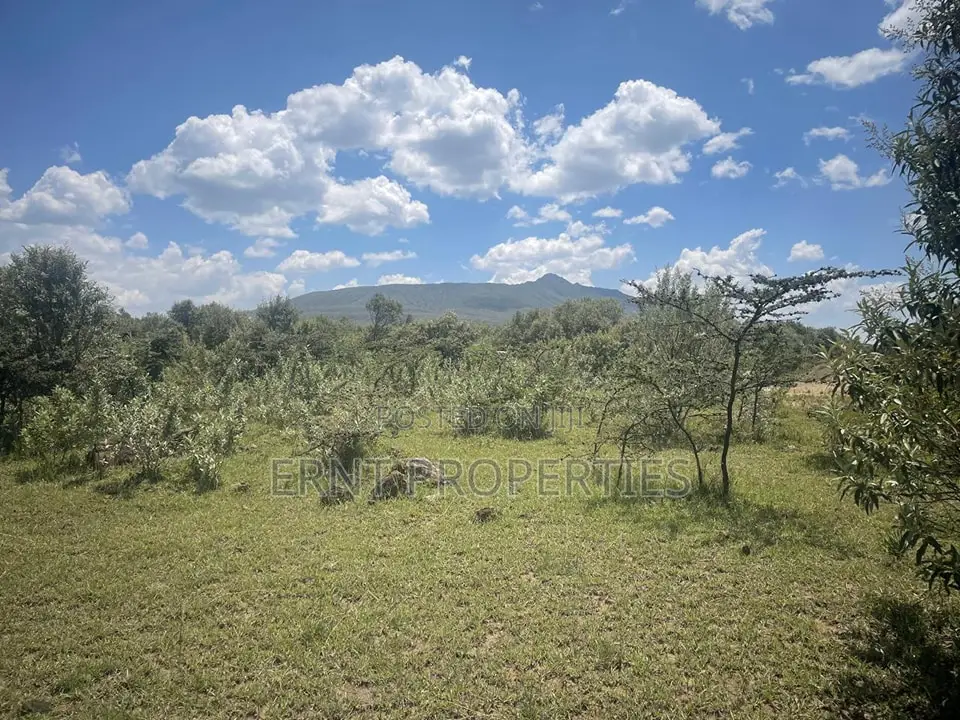 Prime 1⁄2 Acre Plots – Longonot Gate, Naivasha