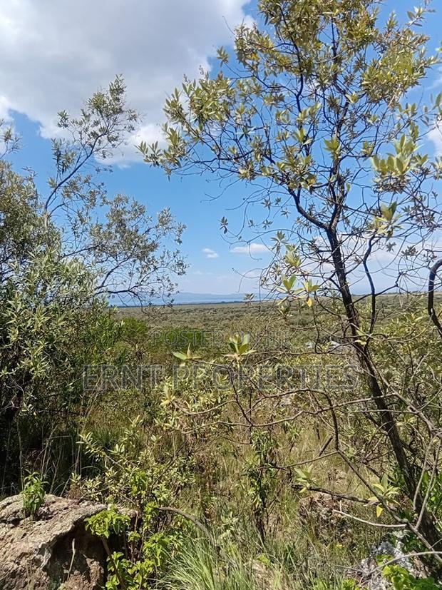 Prime 1⁄2 Acre Plots – Longonot Gate, Naivasha - thumbnail 11