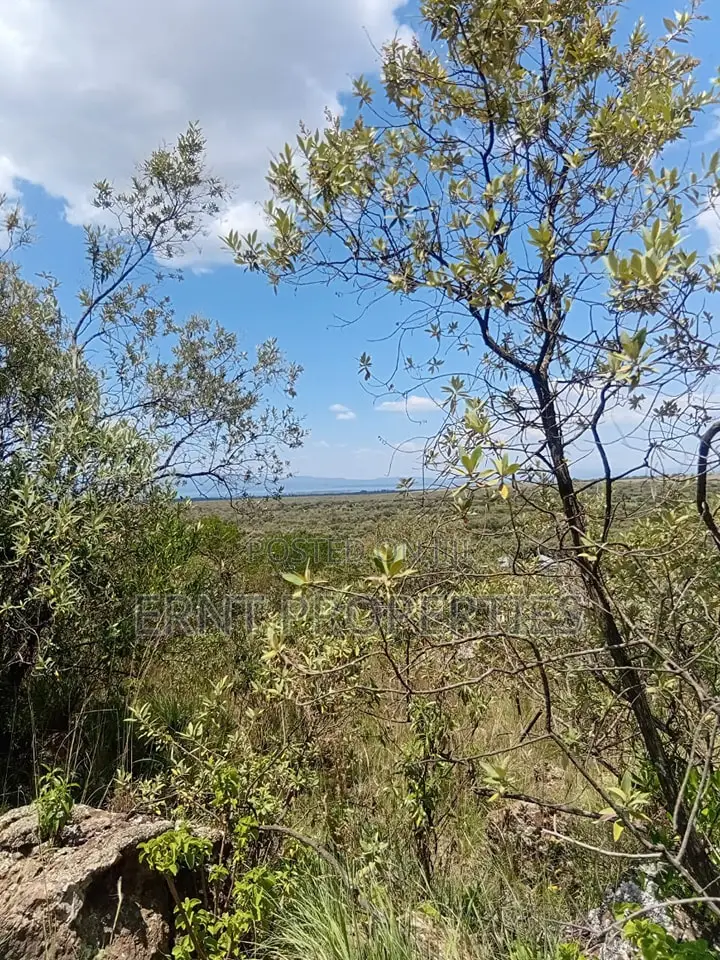 Prime 1⁄2 Acre Plots – Longonot Gate, Naivasha
