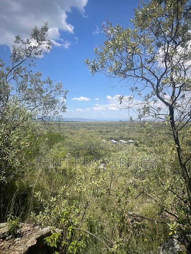 Prime 1⁄2 Acre Plots – Longonot Gate, Naivasha - thumbnail 13