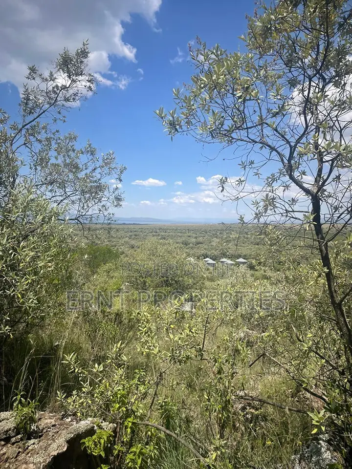 Prime 1⁄2 Acre Plots – Longonot Gate, Naivasha