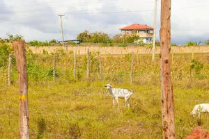 50 X 100 Plots Mariakani