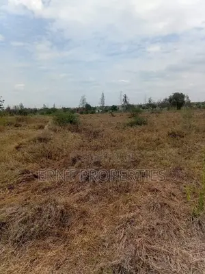 50 By 100 Plots – Kinanie