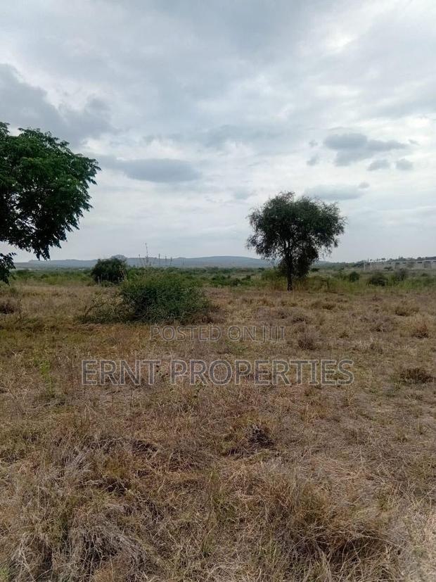 50 By 100 Plots – Kinanie - thumbnail 4