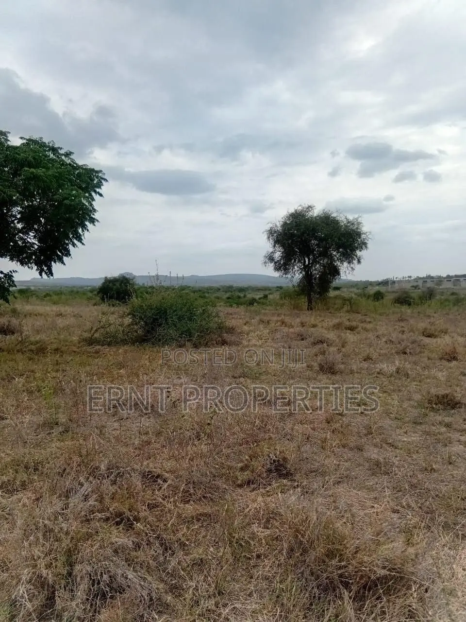 50 By 100 Plots – Kinanie