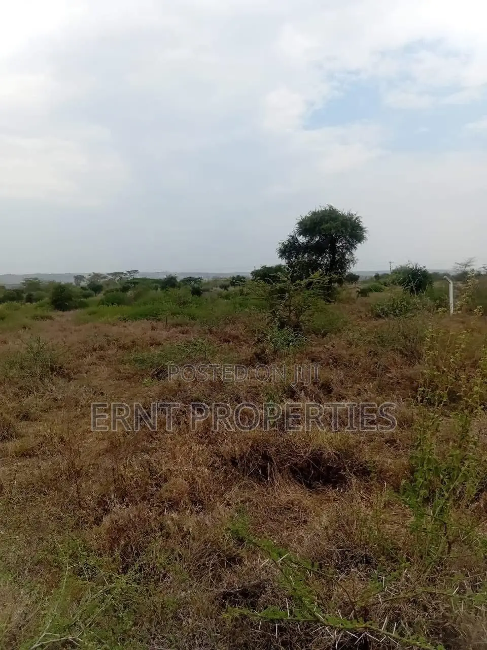 50 By 100 Plots – Kinanie