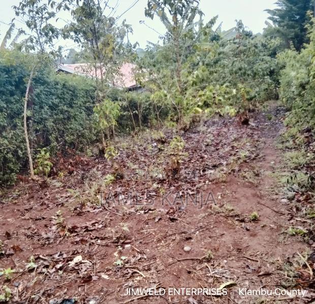 Land for Sale - thumbnail 3
