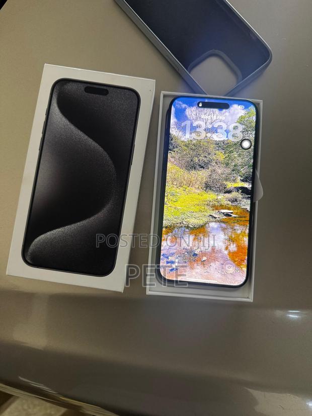 Apple iPhone 15 Pro Max 256 GB Gray