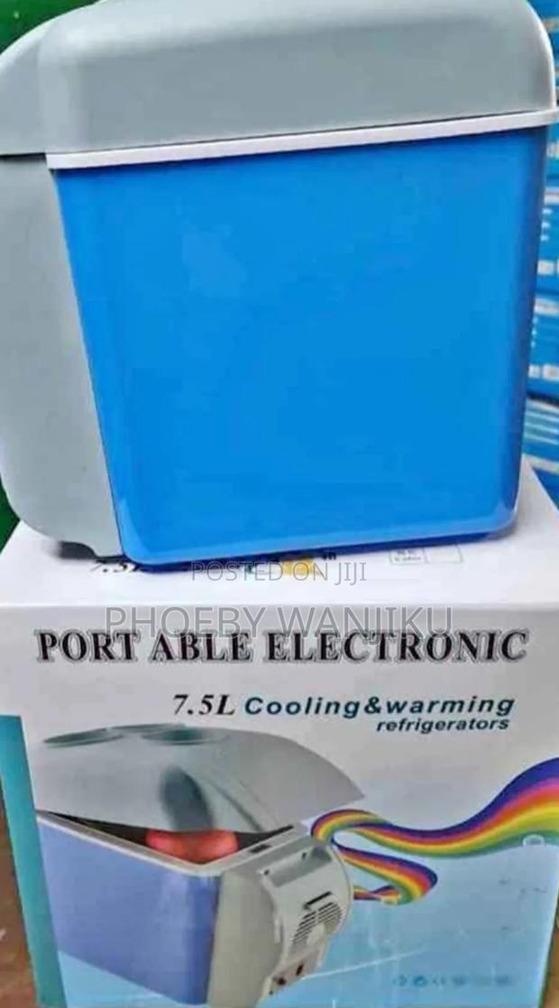 Portable Car Refrigerator/Car Refrigerator