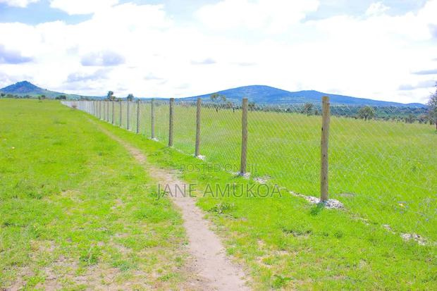 50 X 100 Konza Malili - thumbnail 5