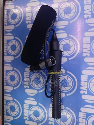 Camcorder Shotgun Microphone-Works Perfect